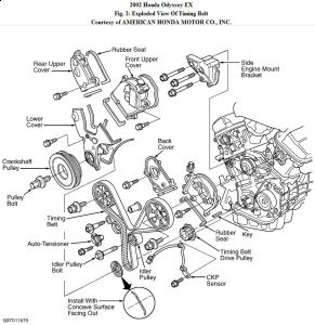 Odyssey Timing Belt Odyssey Timing Belt